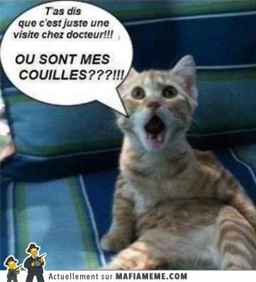 couille