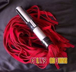 BDSM-Fouet-Star-Wars