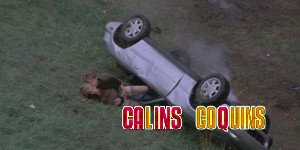 Accident sexe