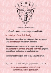 flyer soft