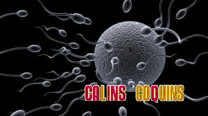 DNA sex